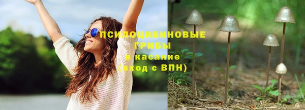 дживик Аркадак