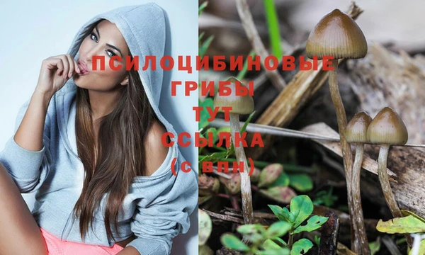 соль курить ск Арсеньев